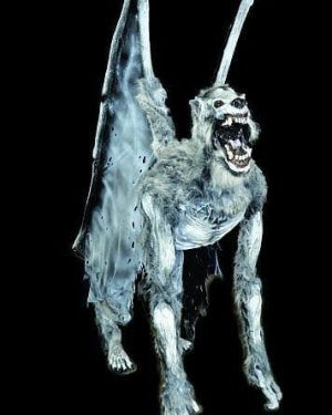 ACT103- Winged Rathman Lunger