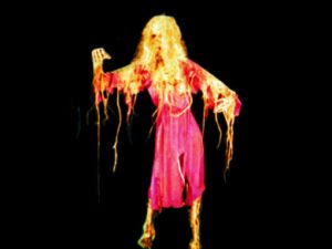 CHR2006- Female Skelerector