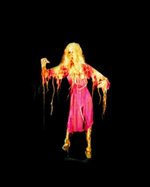 CHR2006- Female Skelerector