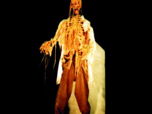 CHR2007- Tombstone Jumper