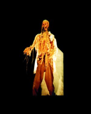 CHR2007- Tombstone Jumper