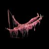 CHR212-Animated Suspended Skeleton