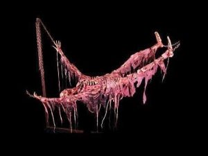 CHR212-Animated Suspended Skeleton