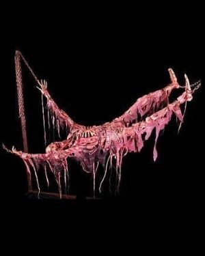 CHR212-Animated Suspended Skeleton