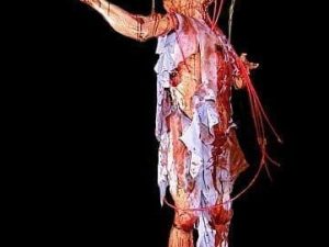 CHR255- Hung Up to Die