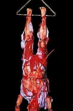 CHR256- Hung Down to Die