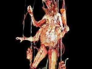 CHR257P- Scarionette Propulsion Rig