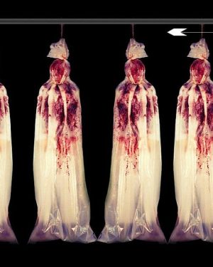 CHR260- Body Bag Conveyor