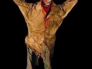 CHR2008- Pirate Lunging Skelerector