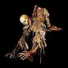 CHR284- Captain Bones
