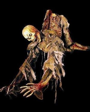 CHR284- Captain Bones