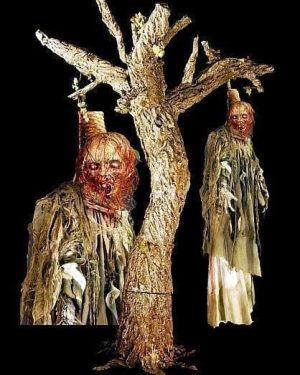 CHR303- Twist in the Wind