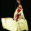 CHR912- Splatterpult