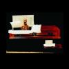 COF913- The EconoCoffin