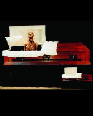 COF913- The EconoCoffin