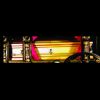 COF924- Deluxe Golden Casket