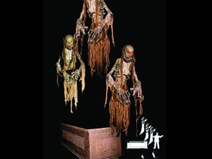 COF923- Crypt Wraith