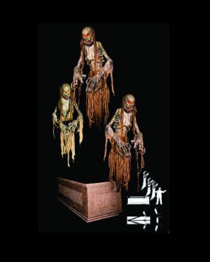 COF923- Crypt Wraith