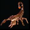 DINO102 – Giant Scorpion