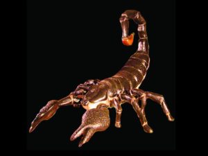 DINO102 - Giant Scorpion
