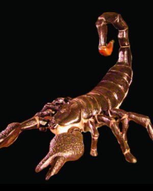 DINO102 - Giant Scorpion