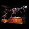 DINO200- Animated T-Rex Skeleton