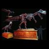 DINO201 T-Rex Museum Stand