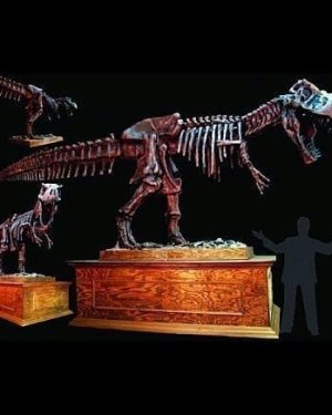 DINO200- Animated T-Rex Skeleton