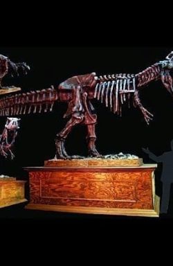 DINO201 T-Rex Museum Stand