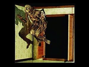 FIX603 - Shutter Extendor