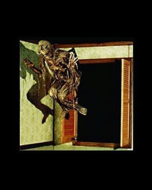 FIX603 - Shutter Extendor