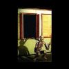 FIX604- Shutter Descendor