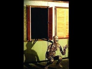 FIX604- Shutter Descendor