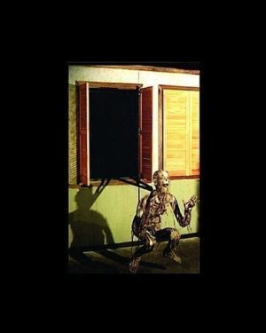 FIX604- Shutter Descendor