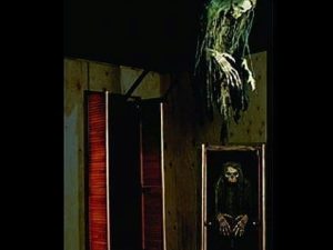 FIX605- Closet Extendor