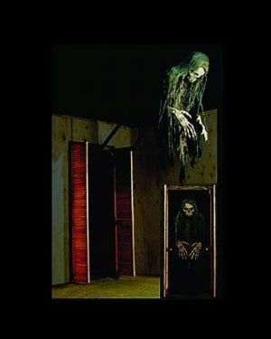 FIX605- Closet Extendor