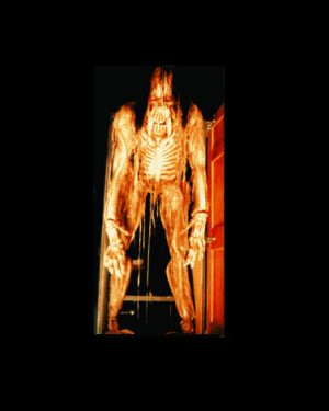 FIX606- Giant Skelerector through Door