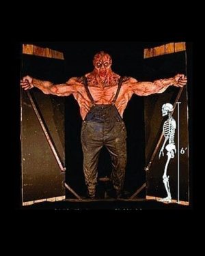 FIX626- Mango through Door