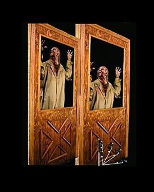 FIX633- Door Splatter