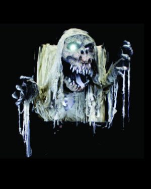 FIX706- Drop Portrait Ghost