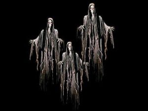 FLY1203- Floating Reaper