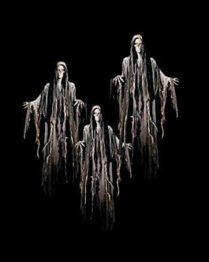 FLY1203- Floating Reaper