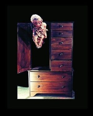 FRN604- Animated Armoire