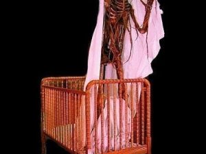 FRN615- Crib Skelerector