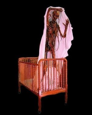 FRN615- Crib Skelerector