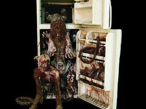 FRN624B- Family Pack Frig-Less Freezer