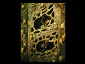 HOD206- Catacombs- Corpse Twirlygig