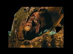 HOD208- Catacombs- Drop Down Character