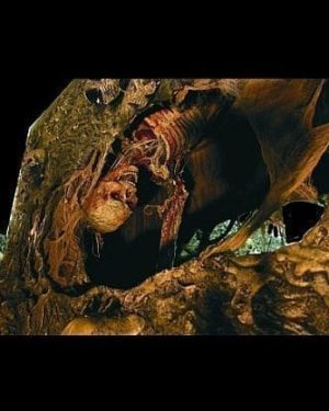 HOD208- Catacombs- Drop Down Character