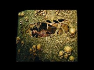 HOD209- Catacombs- Raiser Character